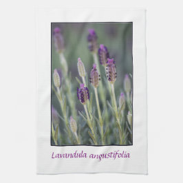 Lavender in Bloom Theedoek