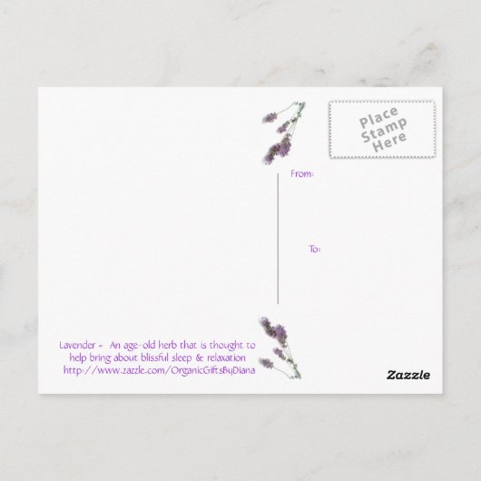 Lavender in briefkaart (Achterkant)