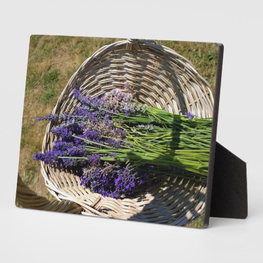 Lavender in een mandje fotoplaat (Zijkant)