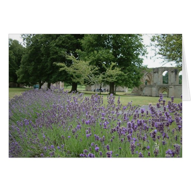 Lavender in Glastonbury (Voorkant Horizontaal)