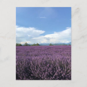 Lavender in het Franse Briefkaart Riviera France