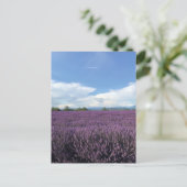 Lavender in het Franse Briefkaart Riviera France (Staand voorkant)