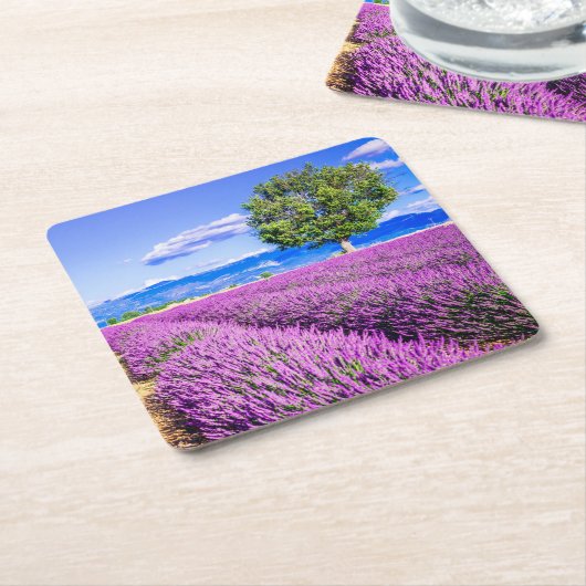 Lavender in Provence Kartonnen Onderzetters (Schuin)