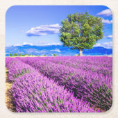 Lavender in Provence Kartonnen Onderzetters (Voorkant)