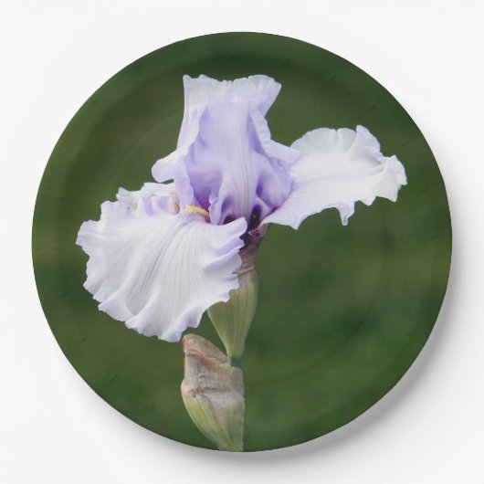  Lavender Iris Floral Foto Papieren Bordje (Voorkant)