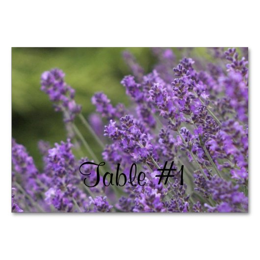 Lavender Kaart (Voorkant)