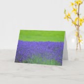 Lavender Kaart (Gele Bloem)