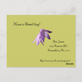 Lavender Lady Bells Briefkaart (Achterkant)