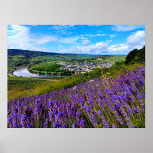 Lavender langs de Moselle in Duitsland Poster