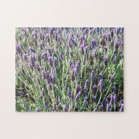 Lavender Legpuzzel (Horizontaal)