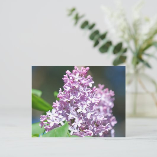 Lavender Lila Briefkaart (Staand voorkant)