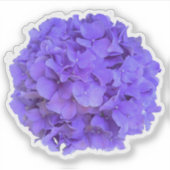 Lavender lila paars Hydrangeas purple Flowers Sticker (Voorkant)