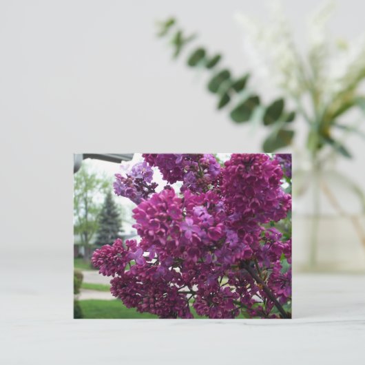 Lavender Lilacs Briefkaart (Staand voorkant)