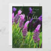 Lavender, Love & Devoding, Wedding Kaart (Voorkant)