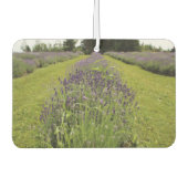 Lavender  luchtverfrisser (Voorkant)