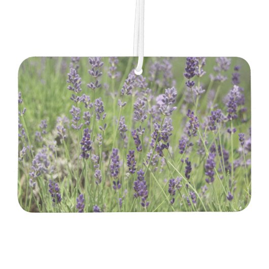 Lavender  luchtverfrisser (Achterkant)