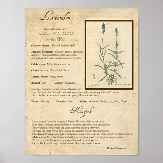 LAVENDER MAGICK HERB POSTER (Voorkant)