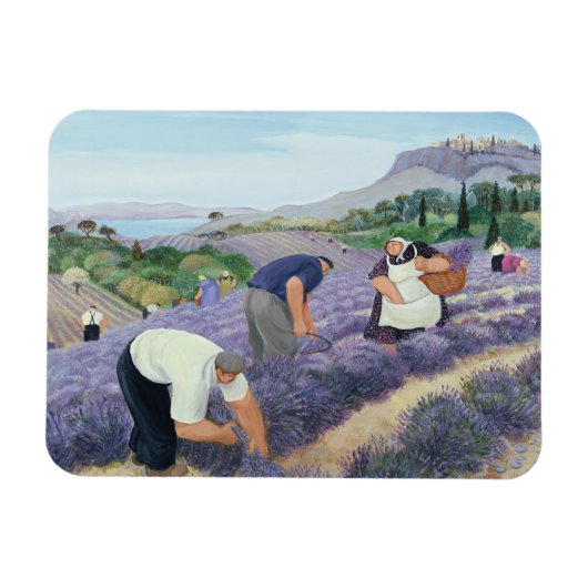 Lavender Magneet (Horizontaal)
