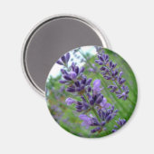 Lavender Magneet (Voorkant / Achterkant)