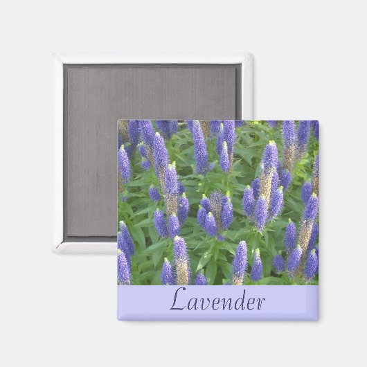 Lavender Magneet (Voorkant / Achterkant)