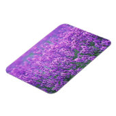 Lavender Magneet (Linkerzijde)