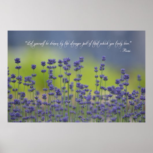 Lavender met Citaat Poster (Voorkant)