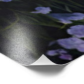 Lavender Mountain Valley bij zonsopgang Foto Afdruk (Hoek)