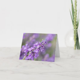 Lavender Notitiekaartje