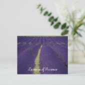Lavender of Provence Briefkaart (Staand voorkant)