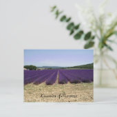 Lavender of Provence Briefkaart (Staand voorkant)