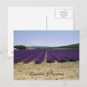 Lavender of Provence Briefkaart (Voorkant / Achterkant)