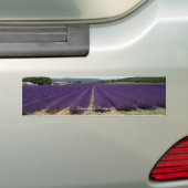Lavender of Provence Bumpersticker (Op auto)