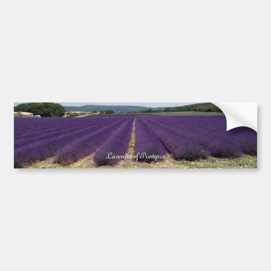 Lavender of Provence Bumpersticker (Voorkant)