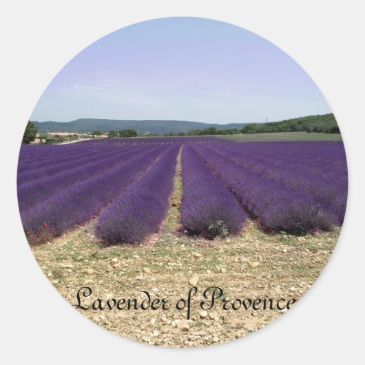 Lavender of Provence Ronde Sticker (Voorkant)