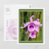 Lavender Orchid Briefkaart (Voorkant / Achterkant)