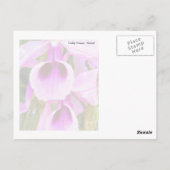 Lavender Orchid Briefkaart (Achterkant)