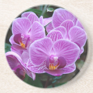 Lavender Orchid Zandsteen Onderzetter