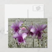 Lavender Paarse Orchid Flowers Briefkaart (Voorkant / Achterkant)
