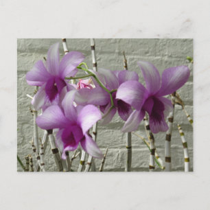 Lavender Paarse Orchid Flowers Briefkaart