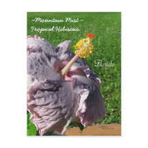 Lavender paarse tropische hibiscus Briefkaart