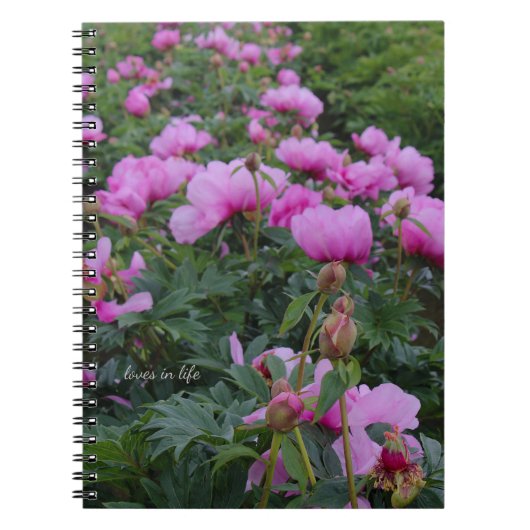 Lavender Peonies Notitieboek (Voorkant)