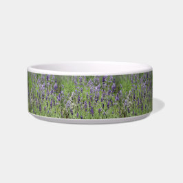 Lavender Pet Bowl Voerbakje