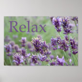 Lavender Poster (Voorkant)