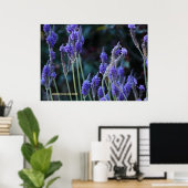 Lavender Poster (Thuiskantoor)