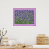 Lavender Poster (Keuken)
