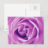 Lavender roos print briefkaart (Voorkant / Achterkant)