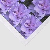 Lavender Roos Sharon Multi-afbeeldingen Tissuepapier (Detail)