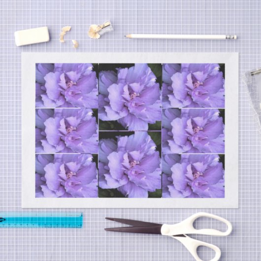 Lavender Roos Sharon Multi-afbeeldingen Tissuepapier (Craft)