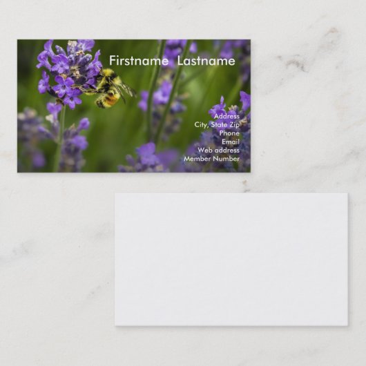 Lavender Row Visitekaartje (Voorkant / Achterkant)