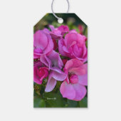 Lavender Roze Roos Cadeaulabel (Voorkant)